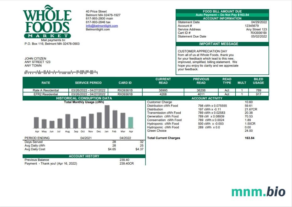 USA Whole Foods Market rachunek za media szablon w formacie Word i PDF